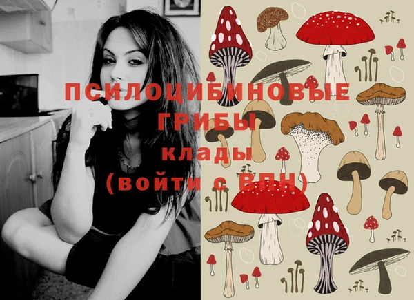 герыч Михайловск