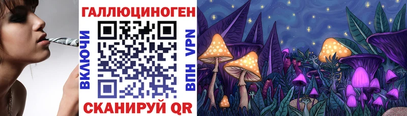 Псилоцибиновые грибы Psilocybe  где можно купить   это какой сайт  Тюкалинск 
